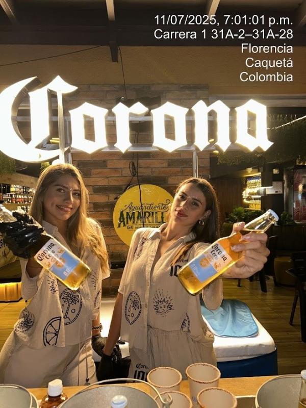 Campañas — Focus Modelos ABTL