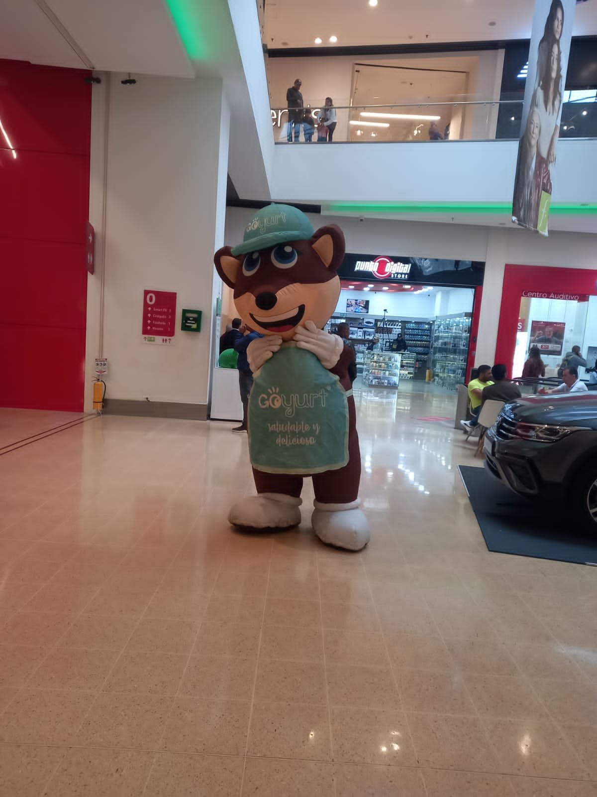 Mascot, Toy, Stuffed toy, Car, Person — Campañas Pereira Manizales Armenia | Focus Modelos ABTL Agencia BTL Eje Cafetero
