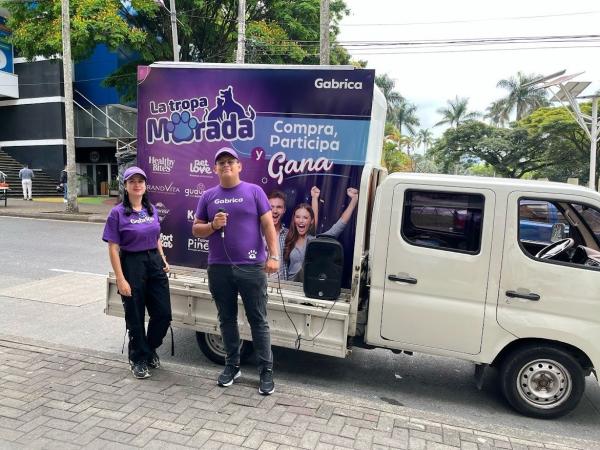 Campañas — Focus Modelos ABTL