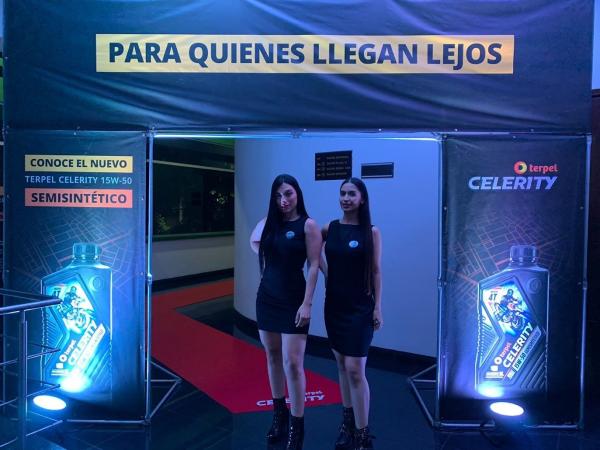 Campañas — Focus Modelos ABTL