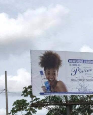 Advertising, Banner, Billboard, Poster, Palm trees, Person — Campañas Pereira Manizales Armenia | Focus Modelos ABTL Agencia BTL Eje Cafetero