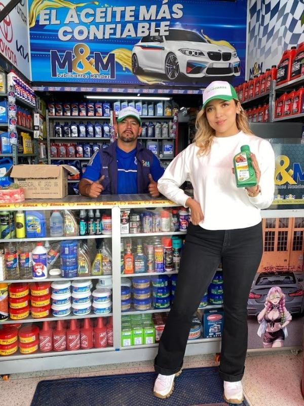 Campañas — Focus Modelos ABTL